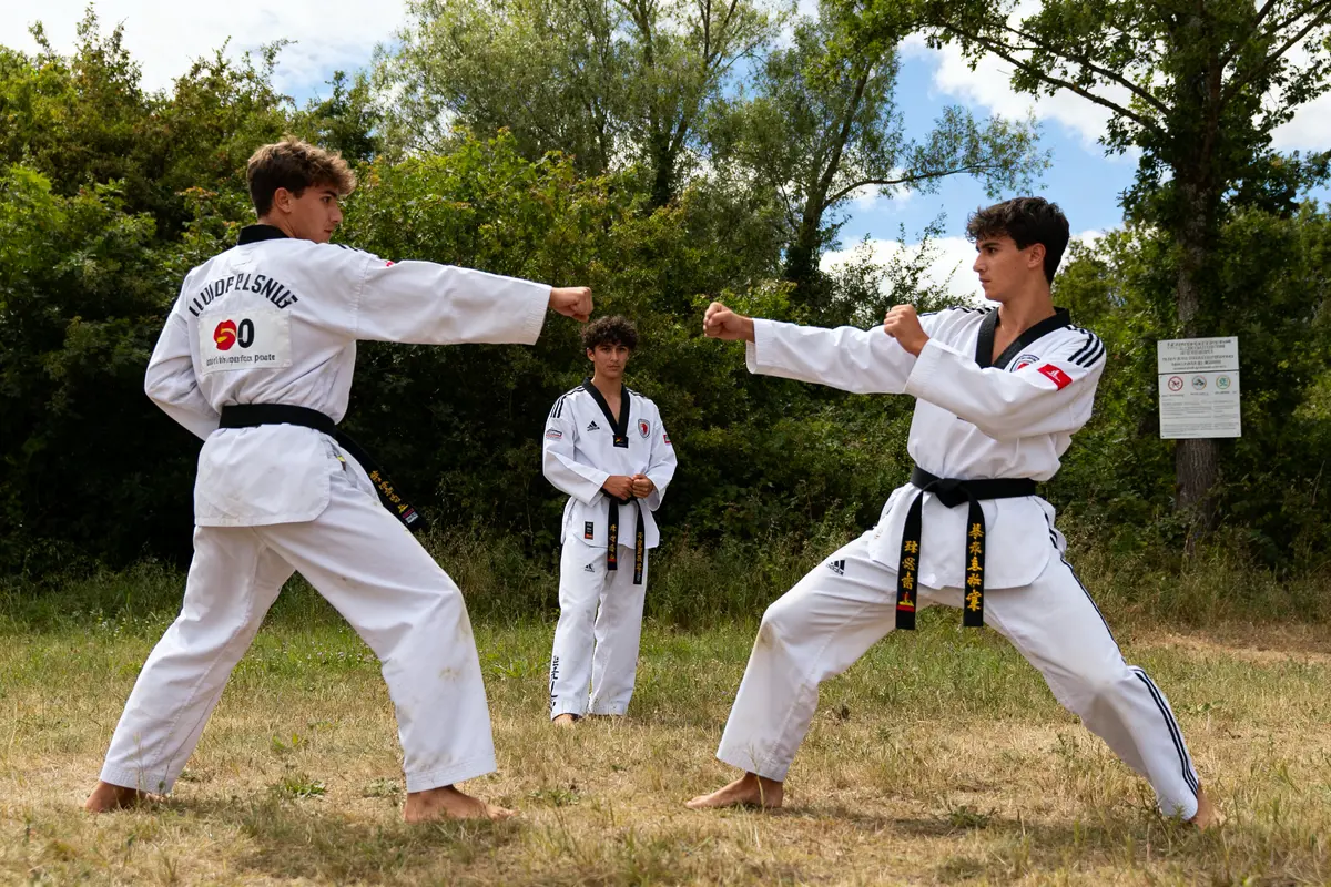 Taekwondo : histoire, règles et secrets de cet art martial