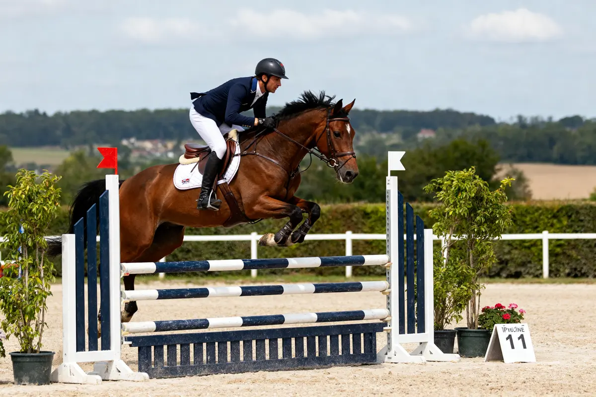 Concours d’équitation : Les meilleurs événements de saut d’obstacles