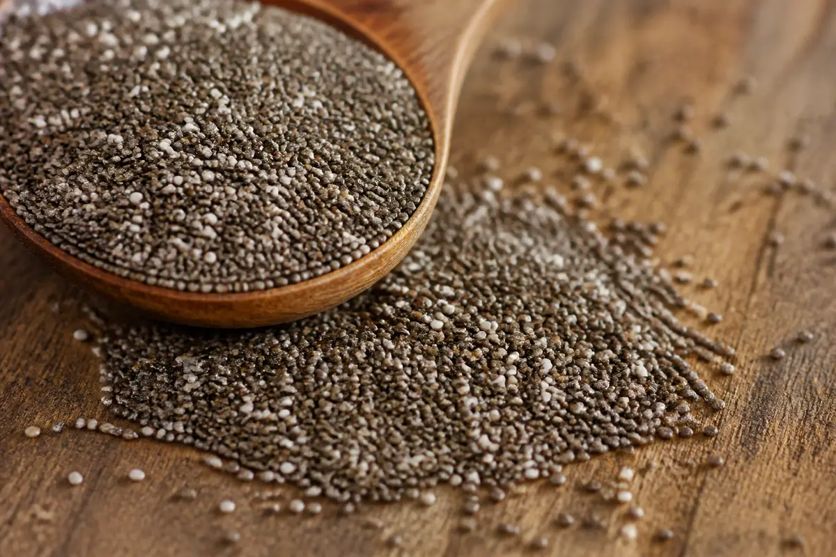 Graine de chia protéine : bienfaits, usage et nutrition